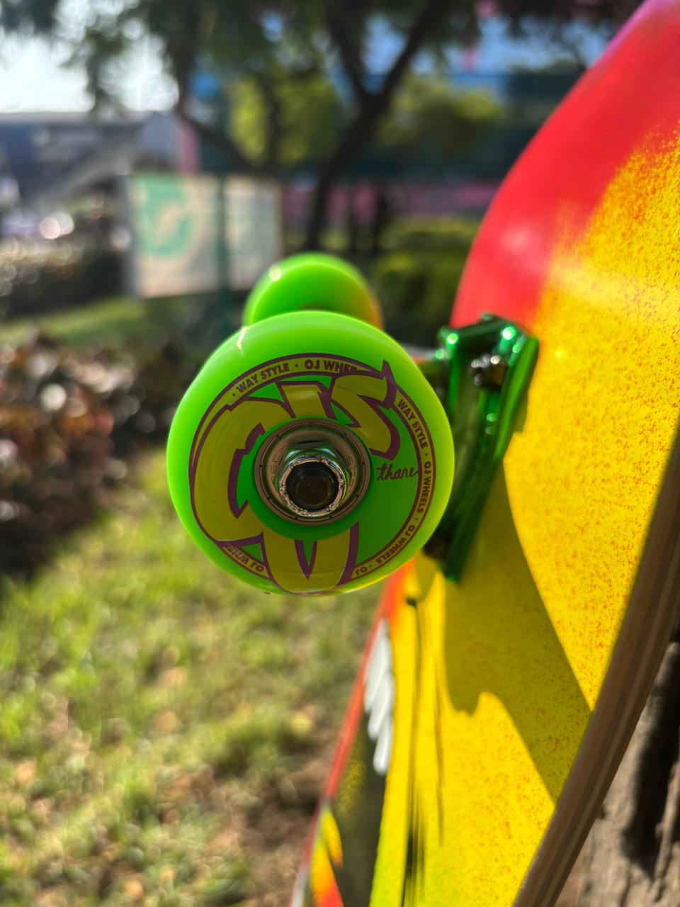 SKATE SANTA CRUZ PRO 8"