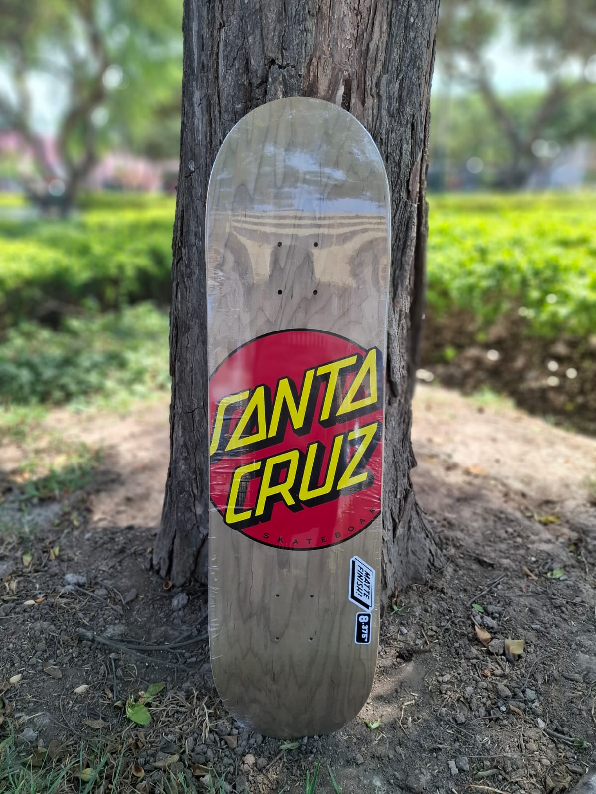TABLA SANTA CRUZ