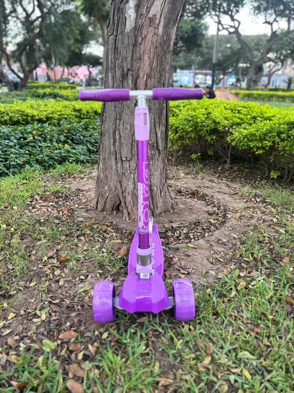 SCOOTER OKA MAXI LILA