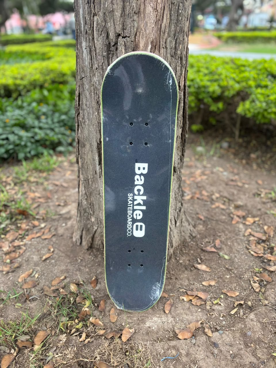 SKATE BACKLE SEMIPRO