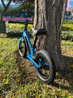BICICLETA DE EQUILIBRIO BLUE