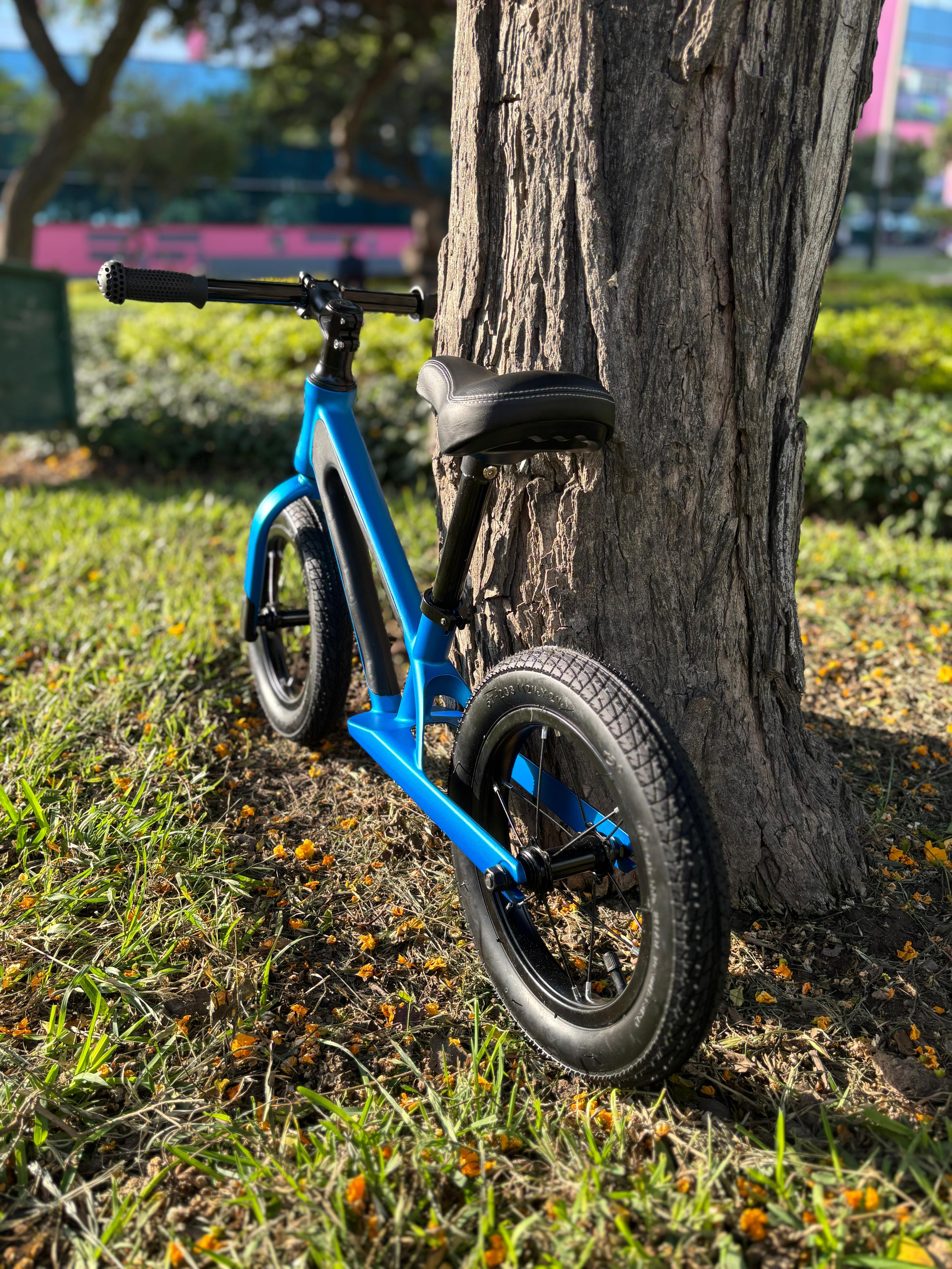 BICICLETA DE EQUILIBRIO BLUE