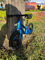 BICICLETA DE EQUILIBRIO BLUE