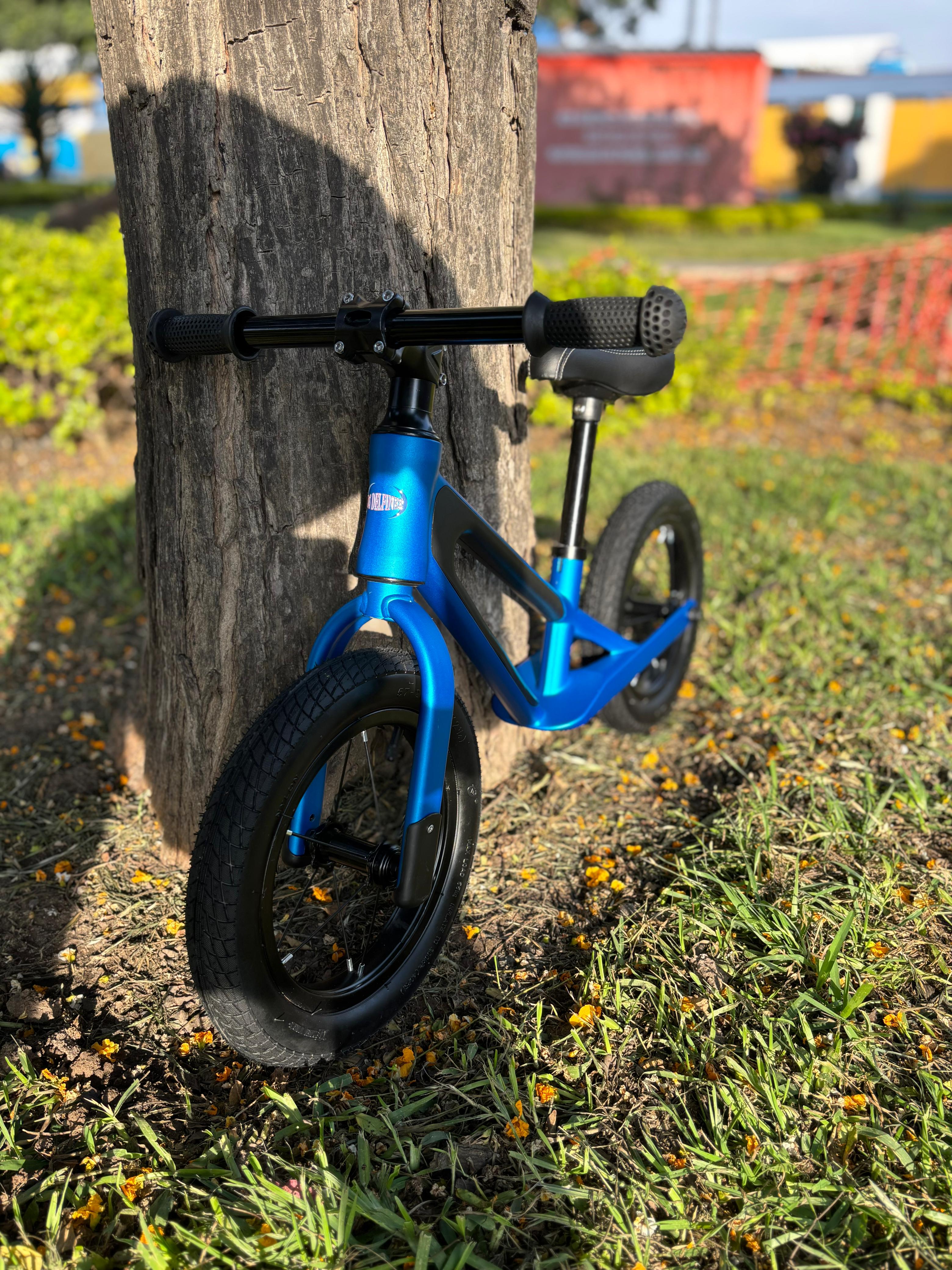 BICICLETA DE EQUILIBRIO BLUE