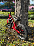 BICICLETA DE EQUILIBRIO RED