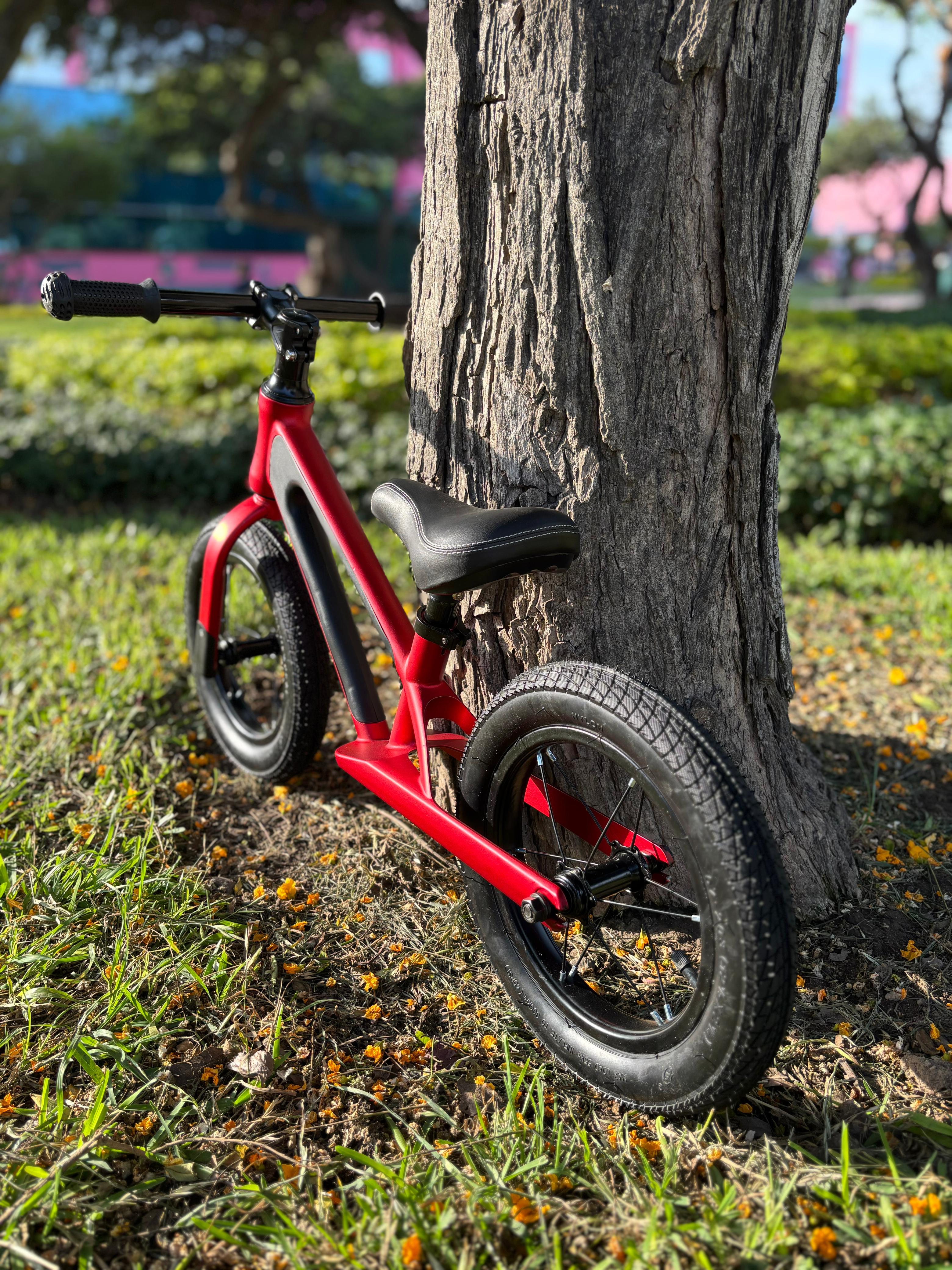 BICICLETA DE EQUILIBRIO RED