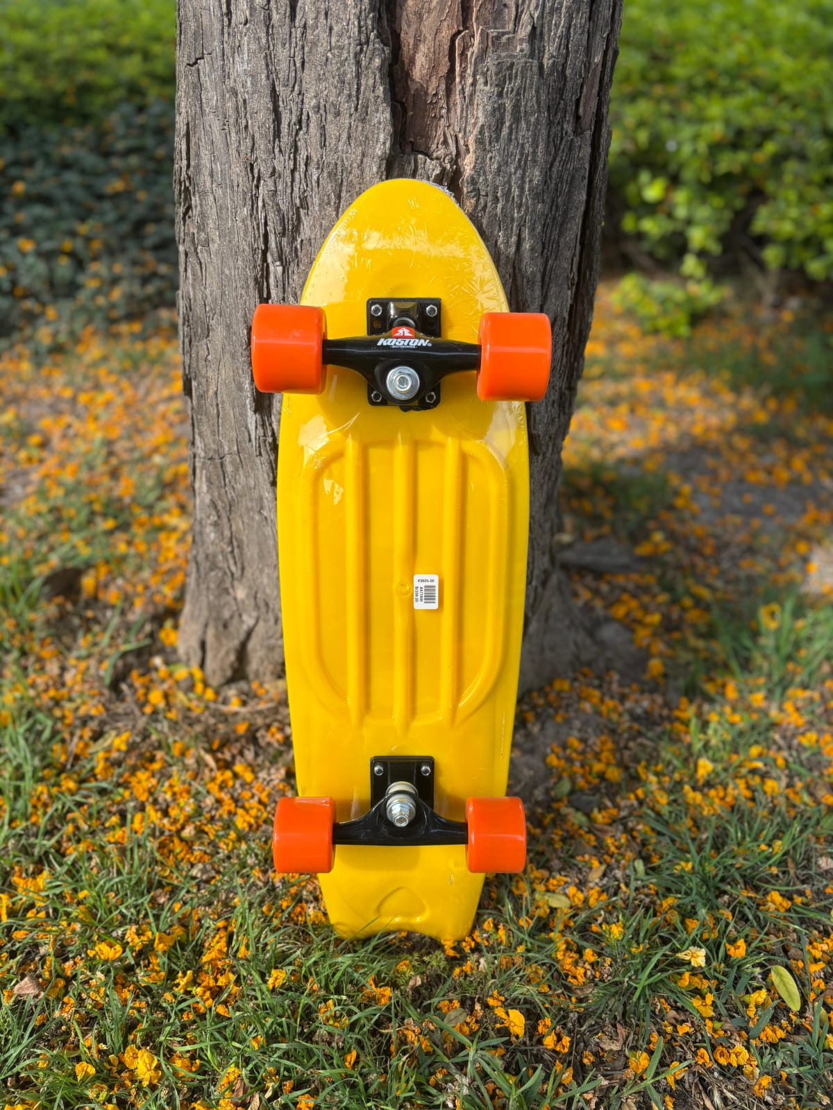 MINI CRUISER KOSTON 27"