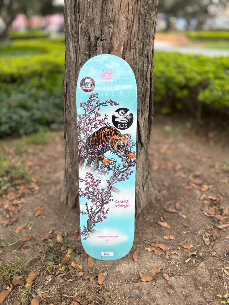 TABLA POWELL PERALTA FLIGHT