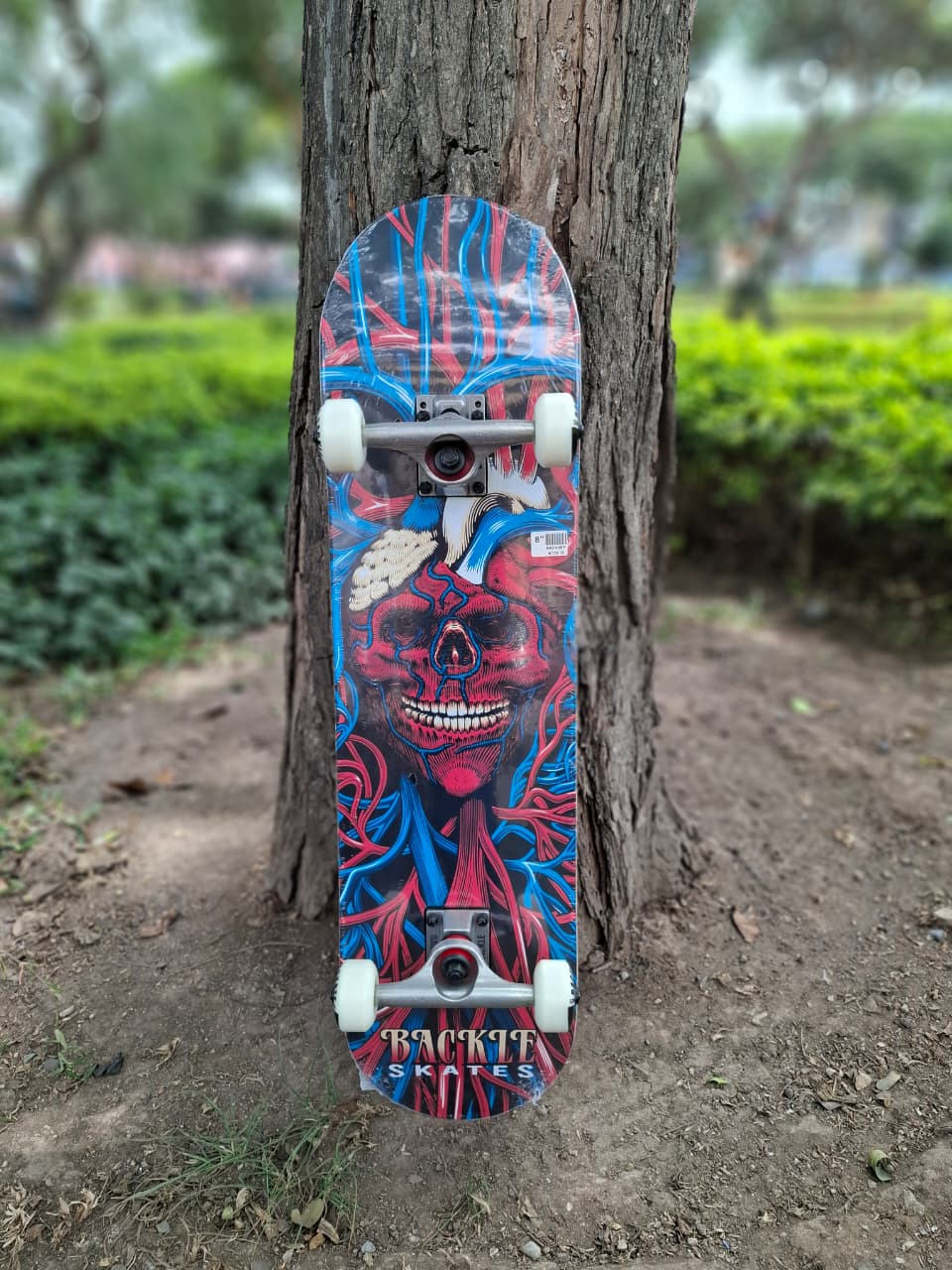 Skateboard Completo Backle 8.0 Vandala